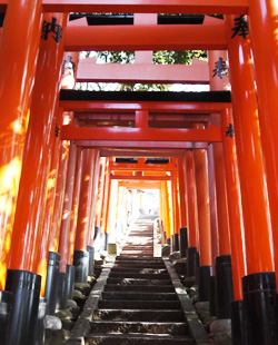 fushimiinari shrine kyoto japan